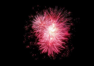 绚丽粉色烟花绽放瞬间
