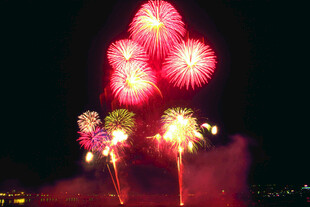 夜空中绚烂的烟花绽放