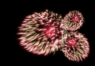 绚丽烟花绽放夜空