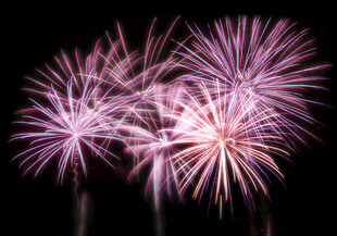 绚丽紫色烟花绽放夜空