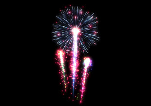 夜空中绚丽绽放的烟花