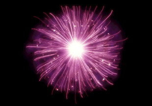 紫色璀璨烟花绽放