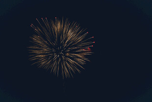 夜空中绽放的绚丽烟花