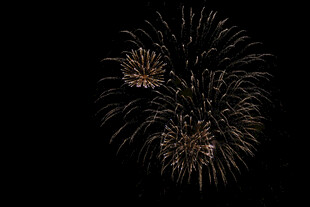 夜空中绚烂的金色烟花