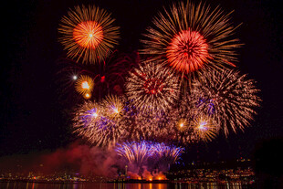 夜空中绚烂的烟花绽放