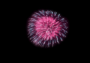 绽放的粉色烟花