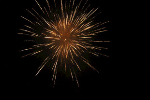 绽放的金色烟花