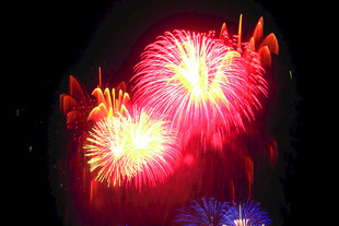 绚丽烟花绽放夜空