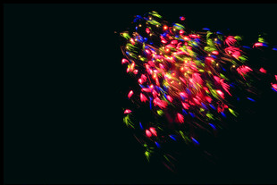 绚丽烟花绽放夜空