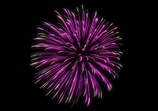 紫色绚烂烟花绽放