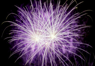 紫色绚烂烟花绽放瞬间