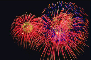 绚丽烟花绽放夜空