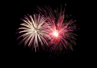 绚丽烟花绽放夜空