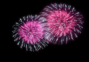 绚丽粉色烟花绽放夜空