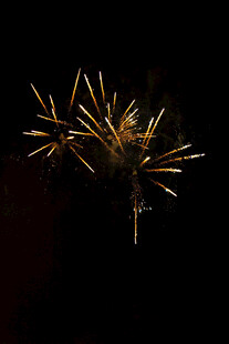 夜空中绚烂的金色烟花