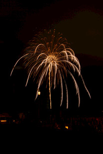 夜空中绽放的绚烂烟花