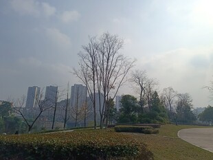 城市公园中的冬日风光