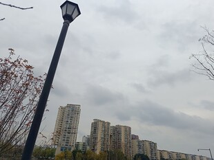 城市路灯与远处高楼景观