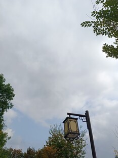 户外路灯与天空绿树景象