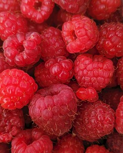 新鲜饱满的树莓果实