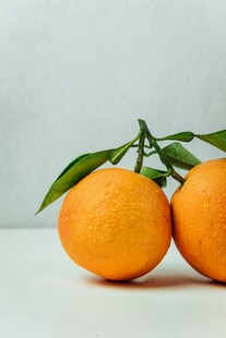 新鲜带叶柑橘