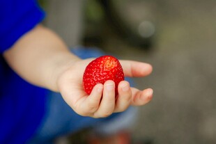 手中鲜红草莓