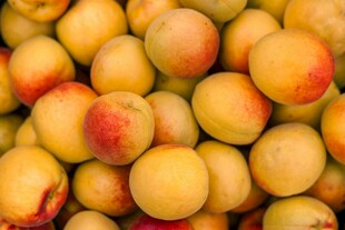饱满诱人的新鲜杏子