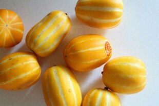 黄条纹南瓜静物特写