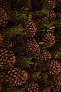 一堆成熟的菠萝果实