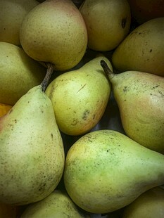 新鲜饱满的梨子堆叠
