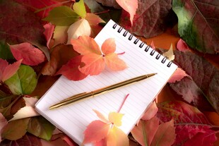 秋叶中的纸笔笔记本