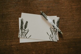 手绘芦苇卡片与钢笔