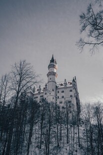 雪林中的梦幻城堡