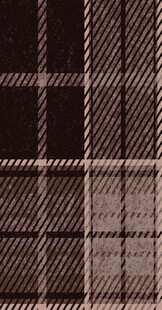 格子布料纹理特写