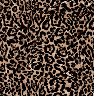 豹纹图案纹理