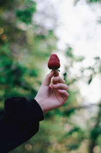 手捧草莓于绿意背景中