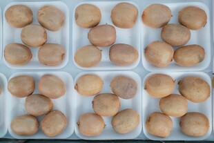 盒装棕色圆球食品展示