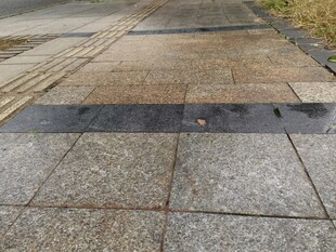 雨后湿润的城市步道地面