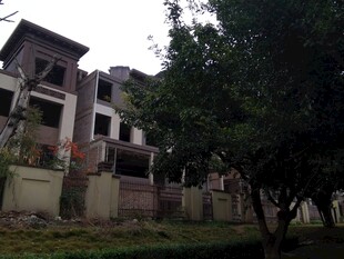 郊外独栋别墅与绿树环绕