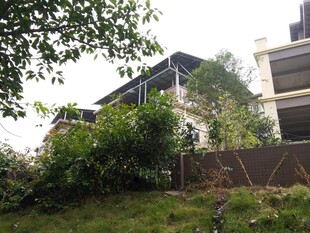 现代风格住宅绿植环绕