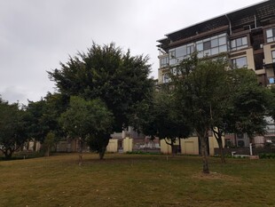 住宅区旁的绿树草地景观