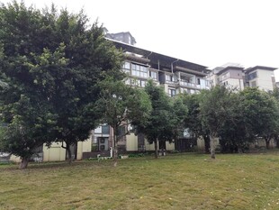 校园绿植环绕的教学楼