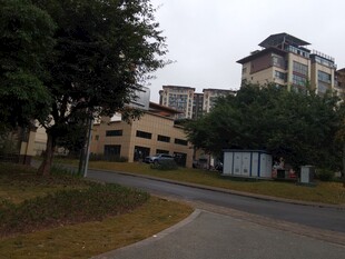 小区道路旁的多层建筑