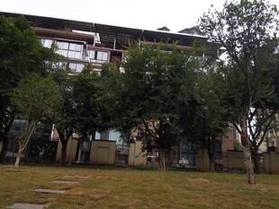 校园中的建筑与绿树景观