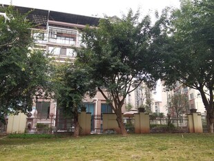 庭院绿植环绕的多层建筑