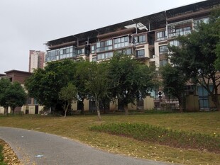 校园旁的道路与多层建筑