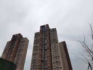 城市高楼景观