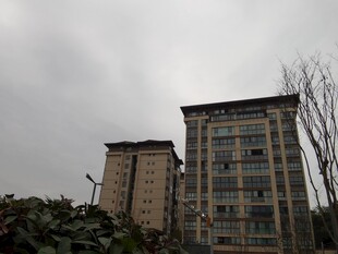 阴天中的高层居民楼