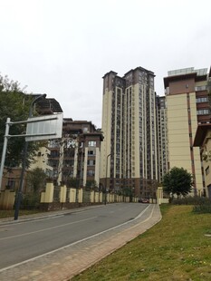 城市道路旁的高层住宅楼