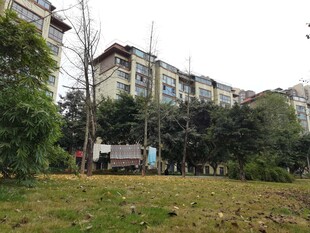 小区绿化景观